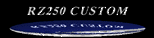 RZ Custome