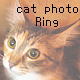 �L�ʐ^Ring