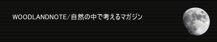 ヘッダーイメージ
