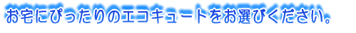 ɂ҂̃GRL[gIтB