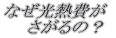 ȂM́H